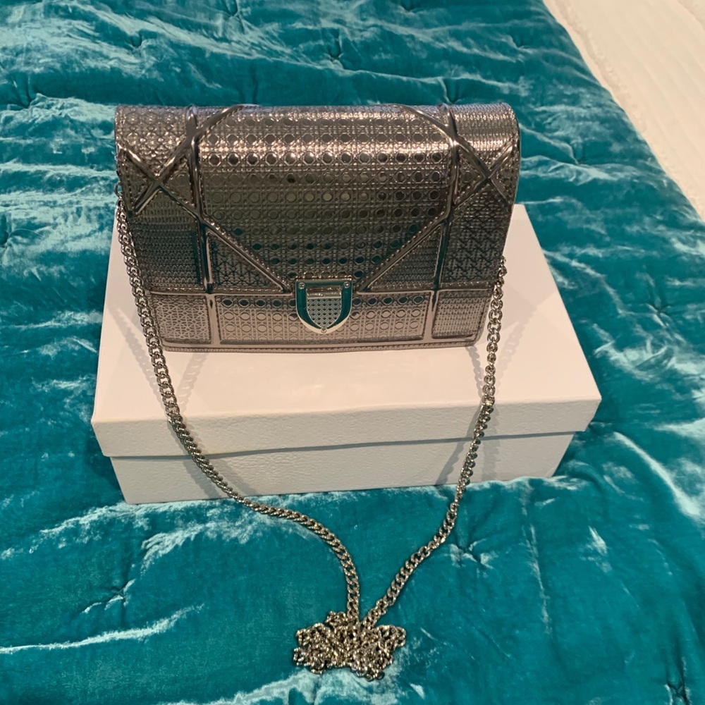 Diorama clutch/crossbody